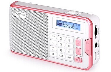R808便携插卡音箱/收音机